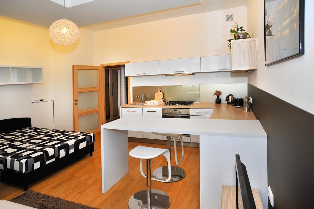 Apartment Near The Old Town Square プラハ 部屋 写真