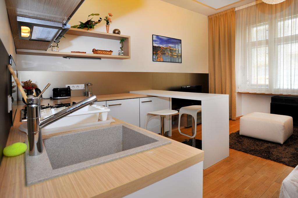 Apartment Near The Old Town Square プラハ 部屋 写真